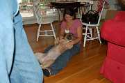 Julies Move 2006 012